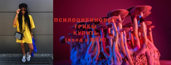 не бодяженный Алексин