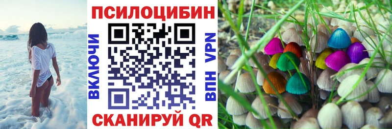 Галлюциногенные грибы Cubensis  Владивосток 